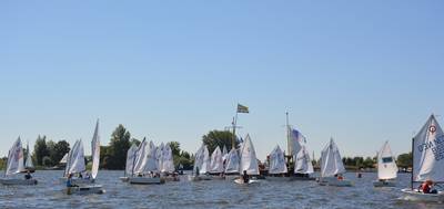 grou