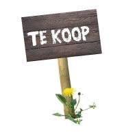 te-koop